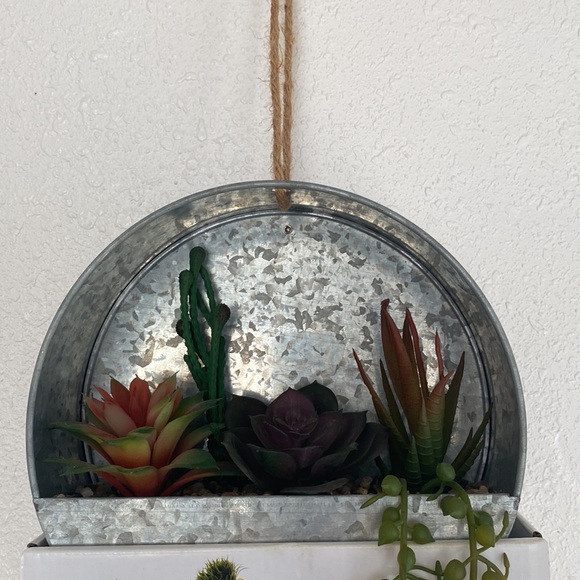 Garden Party Metal Wall Planter w/Succulent - Picture 4 of 12